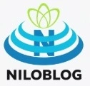 نامه های فیروزه ای را می اندازم توی حوض